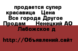 продается супер красавица › Цена ­ 50 - Все города Другое » Продам   . Ненецкий АО,Лабожское д.